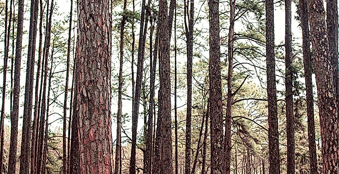 Maintaining Our Sustainability Policy