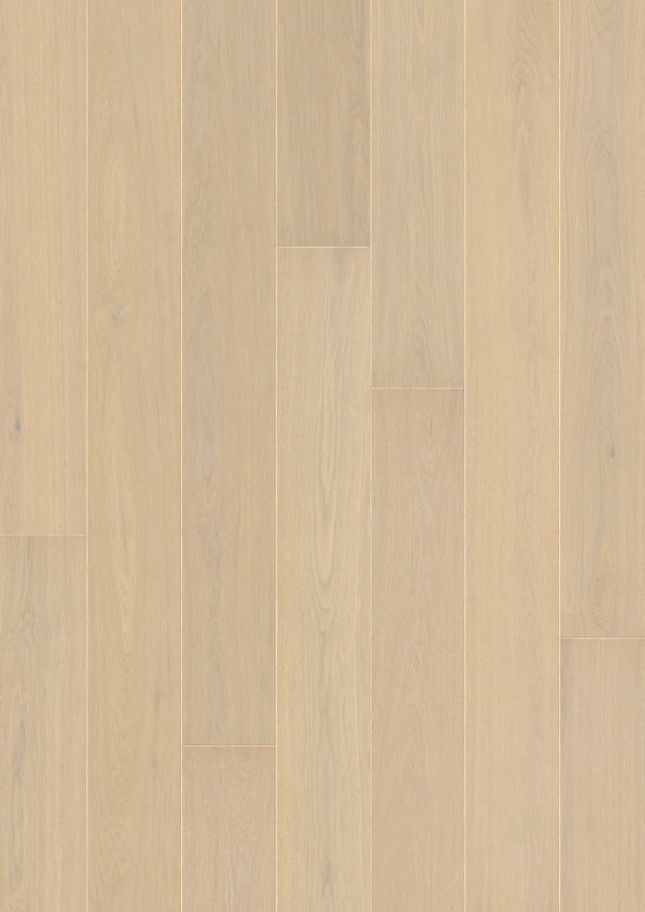 Wood Veneer Parquet Pergo Svalbard Frost Oak